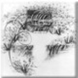 Drawing One by Susana Sori. Large mural size graphite on Arches hot-pressed paper. Fine Art by Sor�